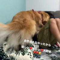 お兄ちゃんに甘える大型犬
