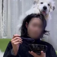 「私を見て！」