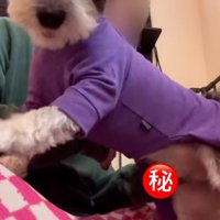 洋服を着たジジくん