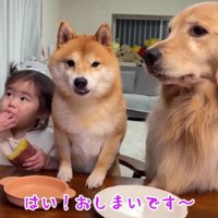 楽しい焼き芋パーティーでした