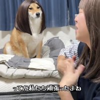 同僚女性に扮するごんちゃん