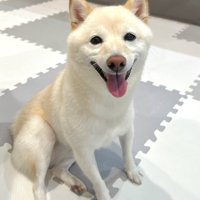 ニコニコ