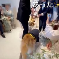 今度はリングを探すはめに
