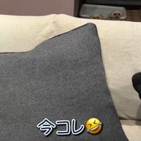 思いがけない展開に