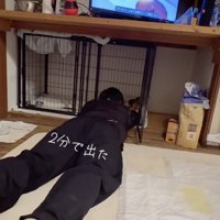 冷静沈着なクルミシャン