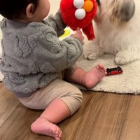 ぬいぐるみを取り合うふたり