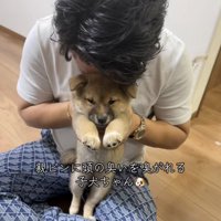 子犬のにおいを嗅ぐパパ