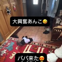 玄関をウロウロする小型犬