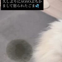 おしっこを失敗した…