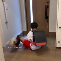 ソワソワするアムくん