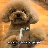 可愛すぎる♡