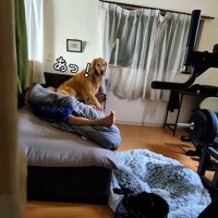 お兄ちゃんの部屋から出てこない蘭ちゃん6