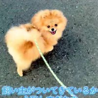 「ちゃんといる？？」