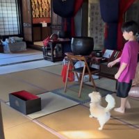 本堂に入る犬と人