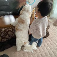 関係性
