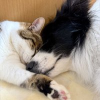 仲良し