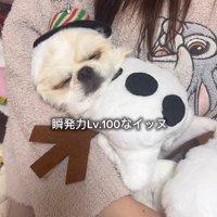 ぽてと君の瞬発力