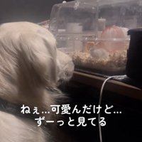 お友達になれたかな？