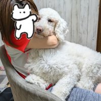 ママと愛いっぱいのハグ♡