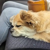 2人の絆を感じる一幕でした