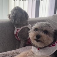 優しさにあふれてる…