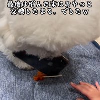 まる君VS男の子⑩