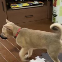 怖がる素振りを見せるように