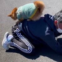 絶対におりない姫ちゃん