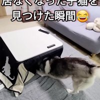 コタツの中に入って…
