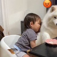 せっかくのうどんが…