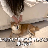 仲直り♪