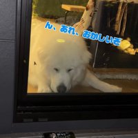 食べられなくて困惑