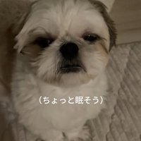 眠そうなちろ君