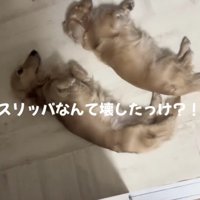 記憶にございません