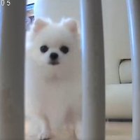 今動いた