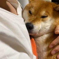 幸せそう♪