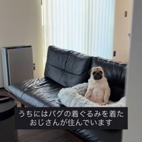 人間のように座るまめぞう君2