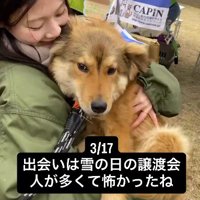 女性に抱っこされている犬