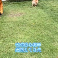 お散歩に行ったときのこと