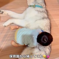 星凪くんと男の子の日常2