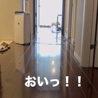 武蔵くんを呼んだ時の態度の差⑩