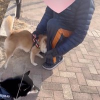 止まらないアピール