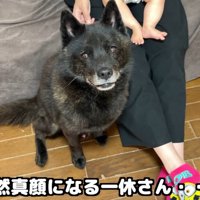 お風呂に誘ったら、急に真顔に！