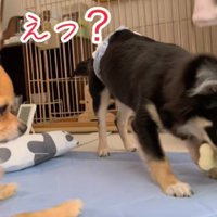 優しいナツちゃんにホッコリ