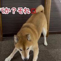 カッパと勘違い！？
