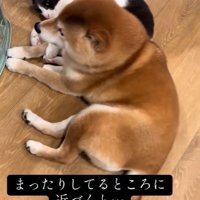 寄り添ってリラックス中♡