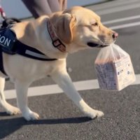 お利口さんで可愛い♡