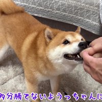 うにくんはボール遊びが大好き！