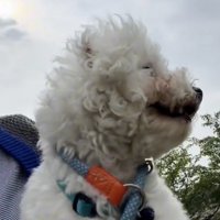 愛が溢れてる