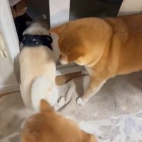 お友だち